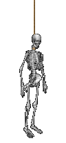 Squelette (114)