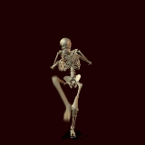 Squelette (78)