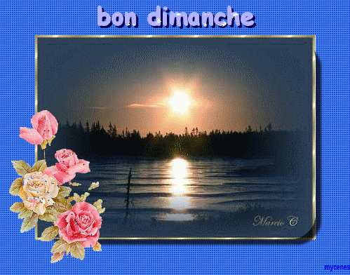 Gifs Bon Dimanche Page 8 | GIFS Gratuits PJC