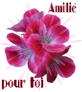 Gif message Amitié (43)