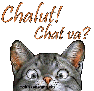 Chats Page 44 | GIFS Gratuits PJC